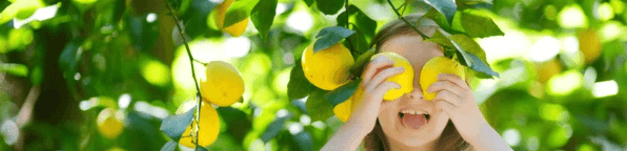 Contact Sunfruit